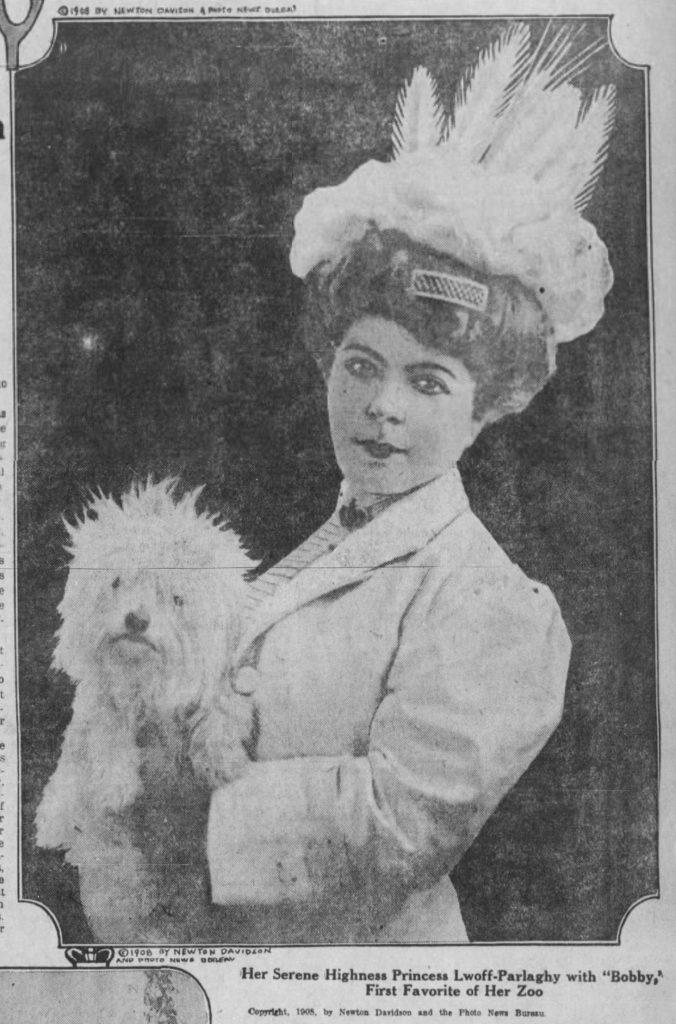 Star Tribune 3 Jan 1915, Sun · Page 45